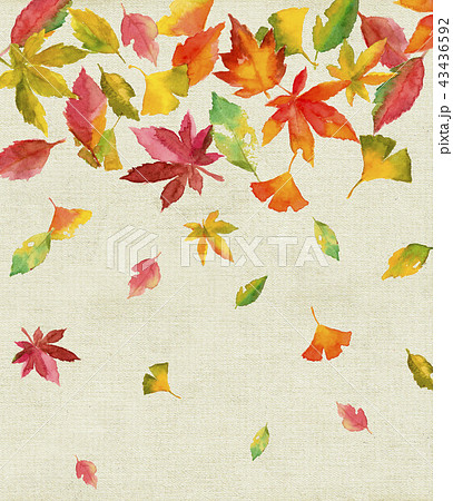 落ち葉 枯れ葉 もみじ イチョウ 木の葉 カエデのイラスト素材