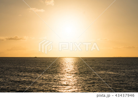 ワイキキビーチ「ハワイの夕暮れ」/Sunset in Hawaii_11 43437946