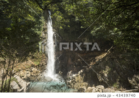 千里ヶ滝の落水 千里ヶ滝の落水 43439740