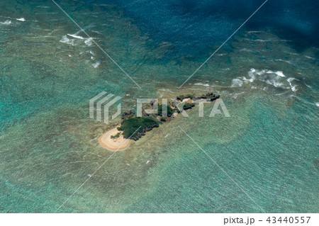 サンゴ礁の島沖縄 サンゴ礁の島沖縄 43440557