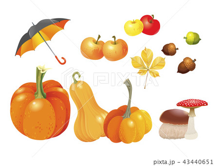 Set of autumn objects. 43440651