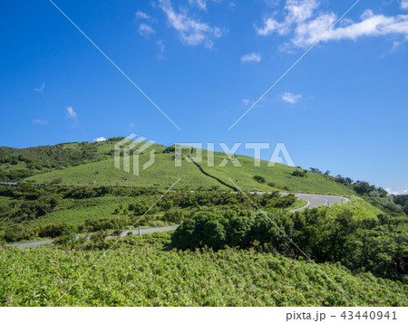 【伊豆半島】快晴・青空・夏の高原風景【伊豆山稜線歩道・だるま山周辺・西伊豆スカイライン】 43440941
