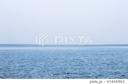 Sea surface and sparkling sunlight on its surface 43440963
