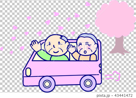 おばあちゃんおじいちゃんドライブ　春の行楽　お花見　　シニア 43441472