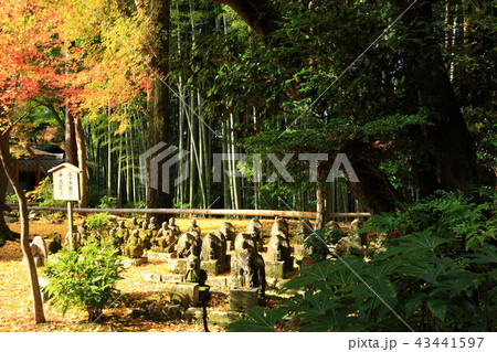 赤山禅院より 赤山禅院より 43441597