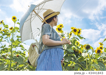 夏休み 夏休み 43441843