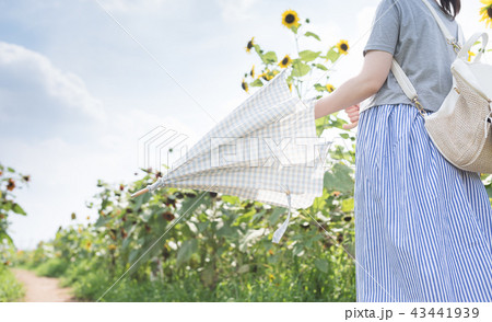 夏休み 43441939