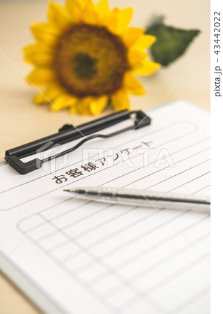 コンセプチュアルフォト コンセプチュアルフォト 43442022