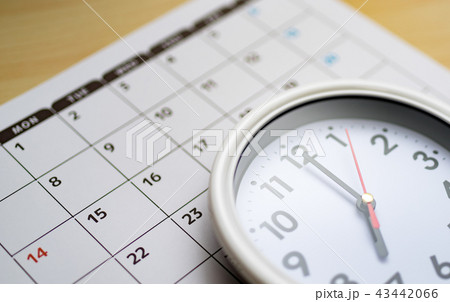 コンセプチュアルフォト コンセプチュアルフォト 43442066