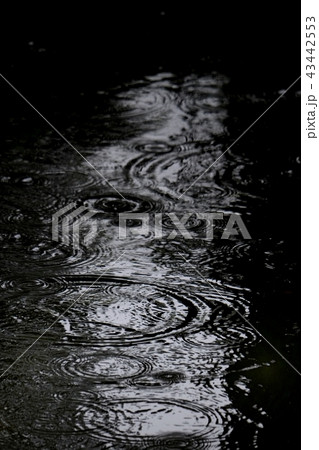 波紋 波紋 43442553