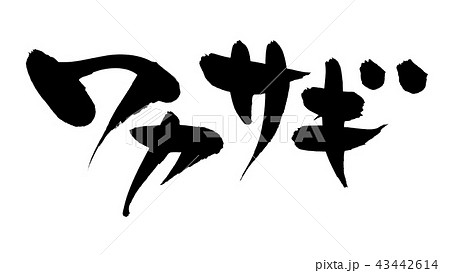 筆文字　わかさぎ　ワカサギ　イラスト 43442614