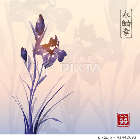 Iris flower and sunrise. Traditional oriental ink painting sumi-e, u-sin, go-hua. Contains 43442633