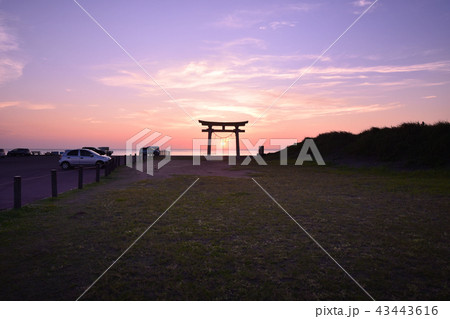 釣ヶ崎海岸・東浪見の鳥居 釣ヶ崎海岸・東浪見の鳥居 43443616