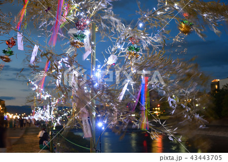 京の七夕2018 京の七夕2018 43443705