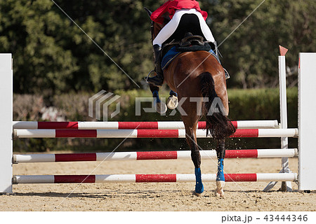 Jockey on her horse leaping over a hurdle Jockey on her horse leaping over a hurdle 43444346