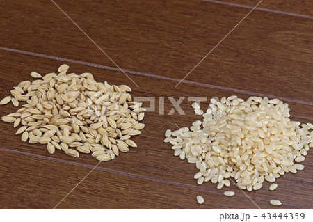 米の籾摺り 43444359