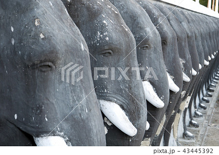 Ethpawra at Ruvanvelisaya Anuradhapura Sri Lanka 43445392