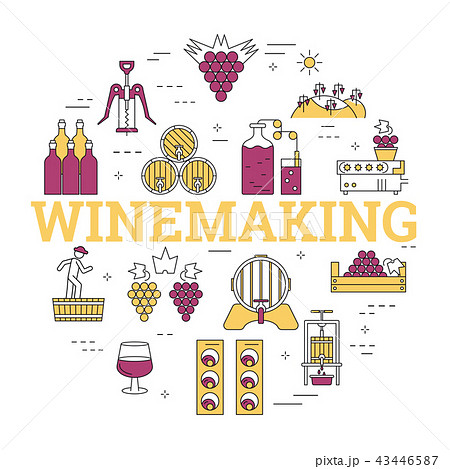 Linear round concept of WINEMAKING Linear round concept of WINEMAKING 43446587