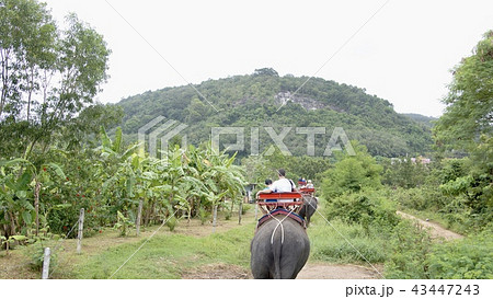 puketto_01 puketto_01 43447243
