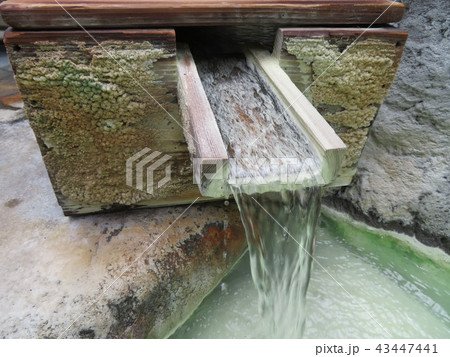 給湯口 給湯口 43447441