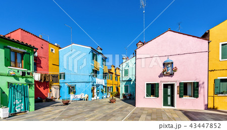 Daylight view to vibrant house front facades 43447852