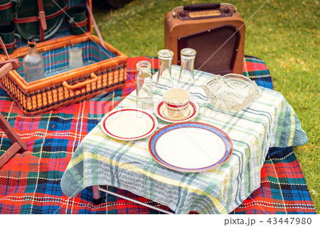 Vintage style picnic setup on grass Vintage style picnic setup on grass 43447980