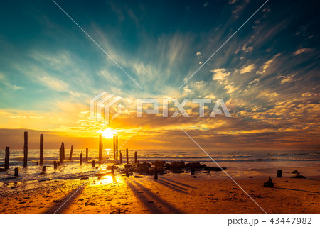 Port Willunga beach with jetty pylons at sunset 43447982
