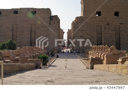 カルナック神殿　ルクソール　エジプト 43447997