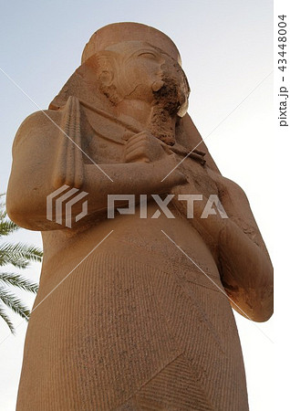 カルナック神殿　ルクソール　エジプト 43448004