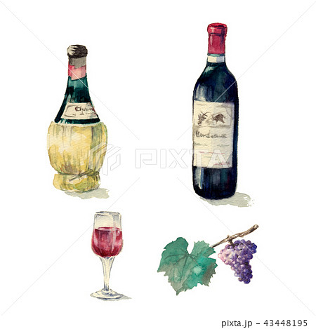 ワインと葡萄の手描きセットのイラスト素材