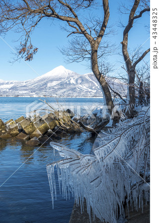 珍しい現象で厳冬期の湖面が凍らず絶えず波しぶきが凍り彫刻のような美しい形となる猪苗代湖のしぶき氷 珍しい現象で厳冬期の湖面が凍らず絶えず波しぶきが凍り彫刻のような美しい形となる猪苗代湖のしぶき氷 43448325