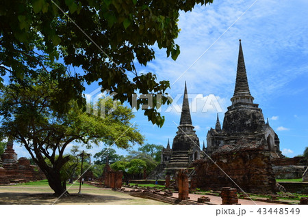 ワット・プラ・シー・サンペート　（アユタヤ／タイ） 43448549