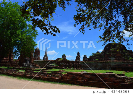 ワット・プラ・シー・サンペート　（アユタヤ／タイ） 43448563