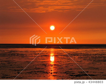 レインボーブリッジ レインボーブリッチ 虹橋 43448803