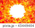 紅葉の背景素材 43449404