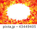 紅葉の背景素材 43449405
