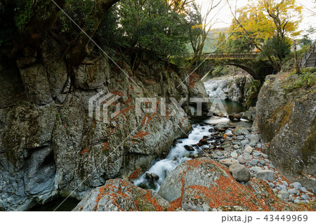大分県　秋の魔林峡、念仏橋 43449969