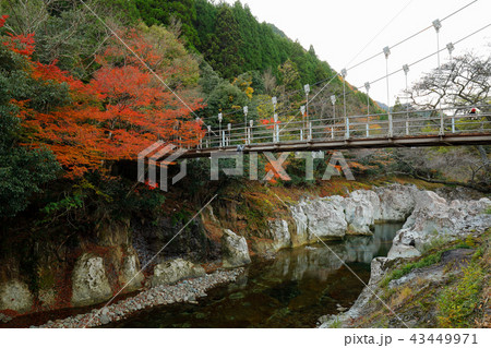 大分県　秋の猿飛千壺峡 43449971