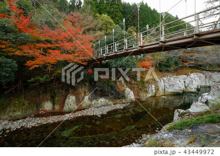 大分県　秋の猿飛千壺峡 43449972