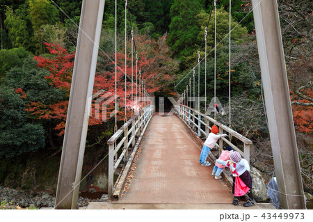 大分県　秋の猿飛千壺峡 43449973