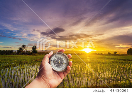 A man holding compass on hand at field and sunset A man holding compass on hand at field and sunset 43450065