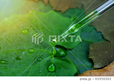 Scientist with natural drug and cosmetics research 43450303