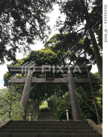 神社鳥居　伊豆山神社 43450340