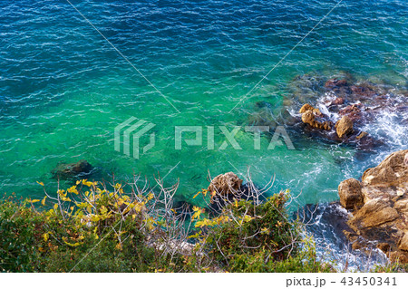 Clear sea with rocks and green and blue waters 43450341