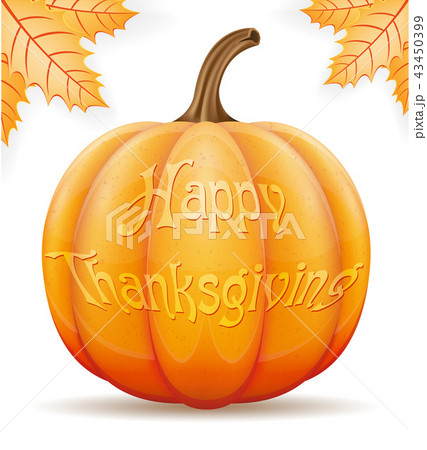 pumpkin thanksgiving vector illustration 43450399