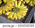 市場のバナナ 43450599