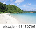 西表島　イダの浜2 43450706