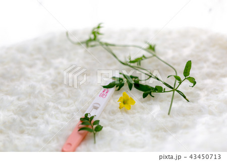 妊娠検査薬 43450713
