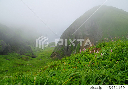 礼文島　桃岩展望台 43451169