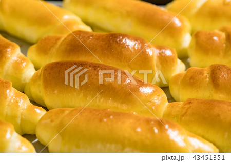 ケーキ ケーキ各種 トルテ 43451351